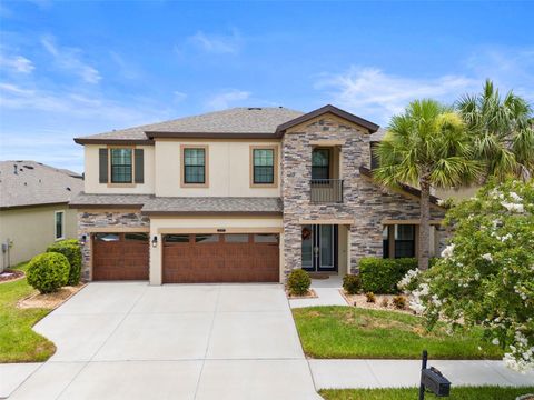 A home in LAND O LAKES