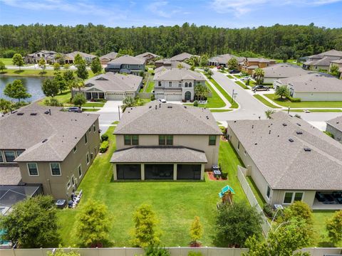 A home in LAND O LAKES