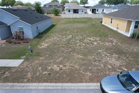 Tiny photo for 2005 Sloans Outlook Drive, Groveland, FL 34736 (MLS # O6395712)