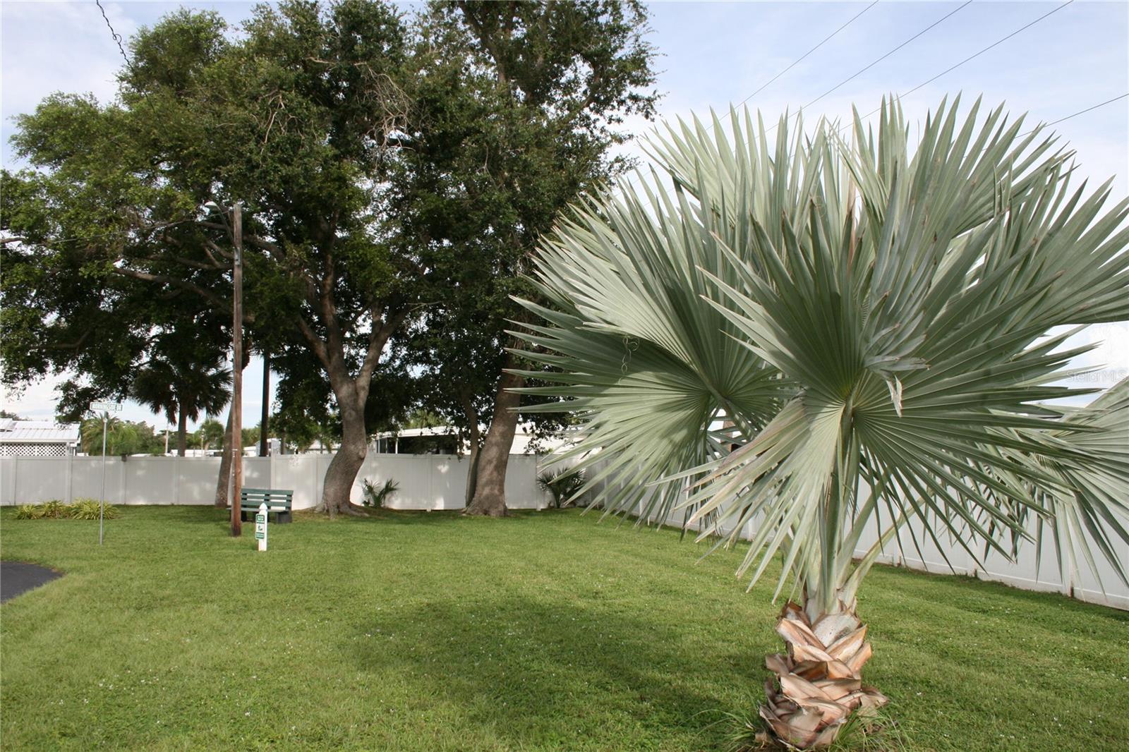 OAK GROVE - Residential
