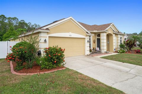 A home in LAND O LAKES