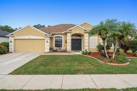 A home in LAND O LAKES