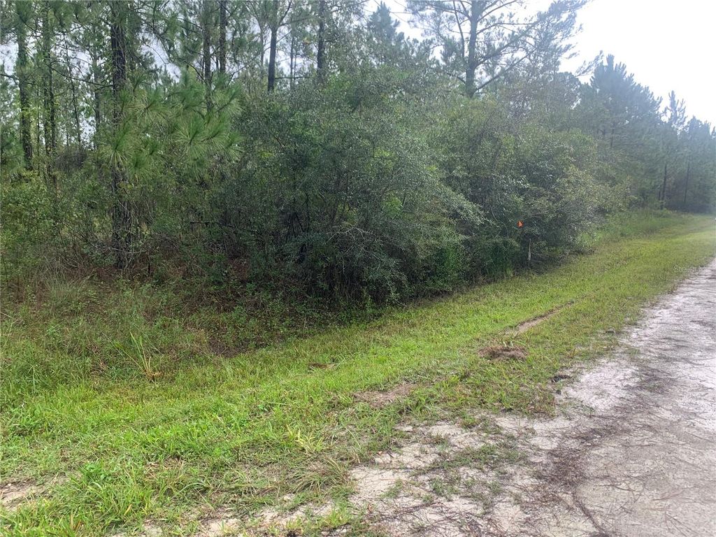 Photo of Tbd Otter Drive #LOT 44, Webster, FL 33597 (MLS # G5058596)