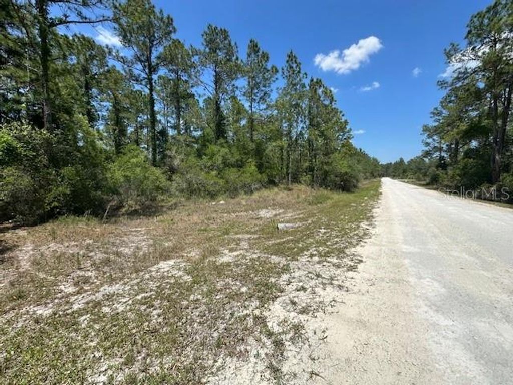 Photo of Tbd Otter Drive #LOT 44, Webster, FL 33597 (MLS # G5058596)