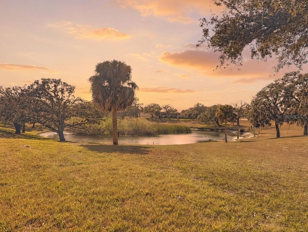 Photo of 11431 Dollar Lake Drive #1, Port Richey, FL 34668 (MLS # TB8474951)