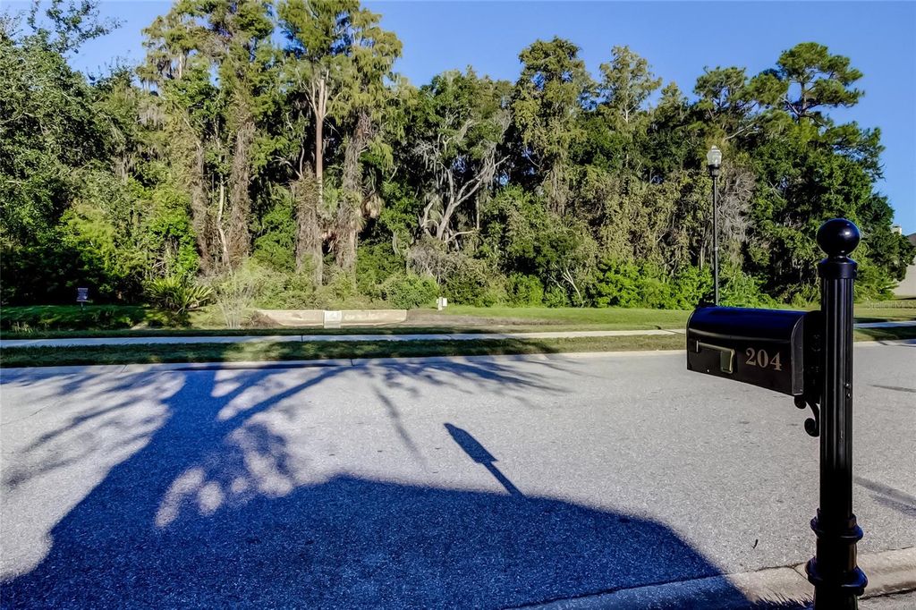 Photo of 204 Bay Arbor Boulevard, Oldsmar, FL 34677 (MLS # TB8440310)