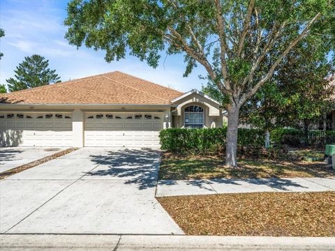 3885 CROSSLINE DRIVE SPRING HILL FL 34609
