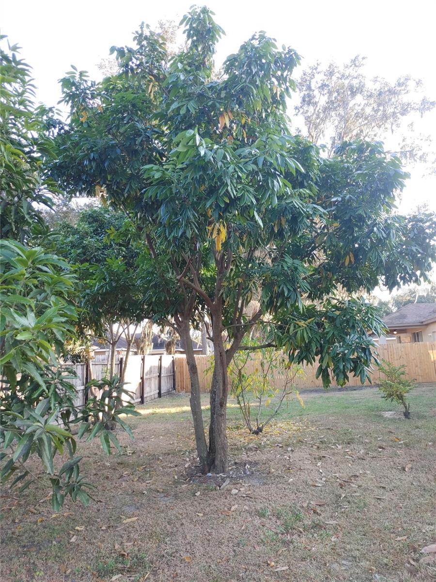 OXFORD MANOR - Residential