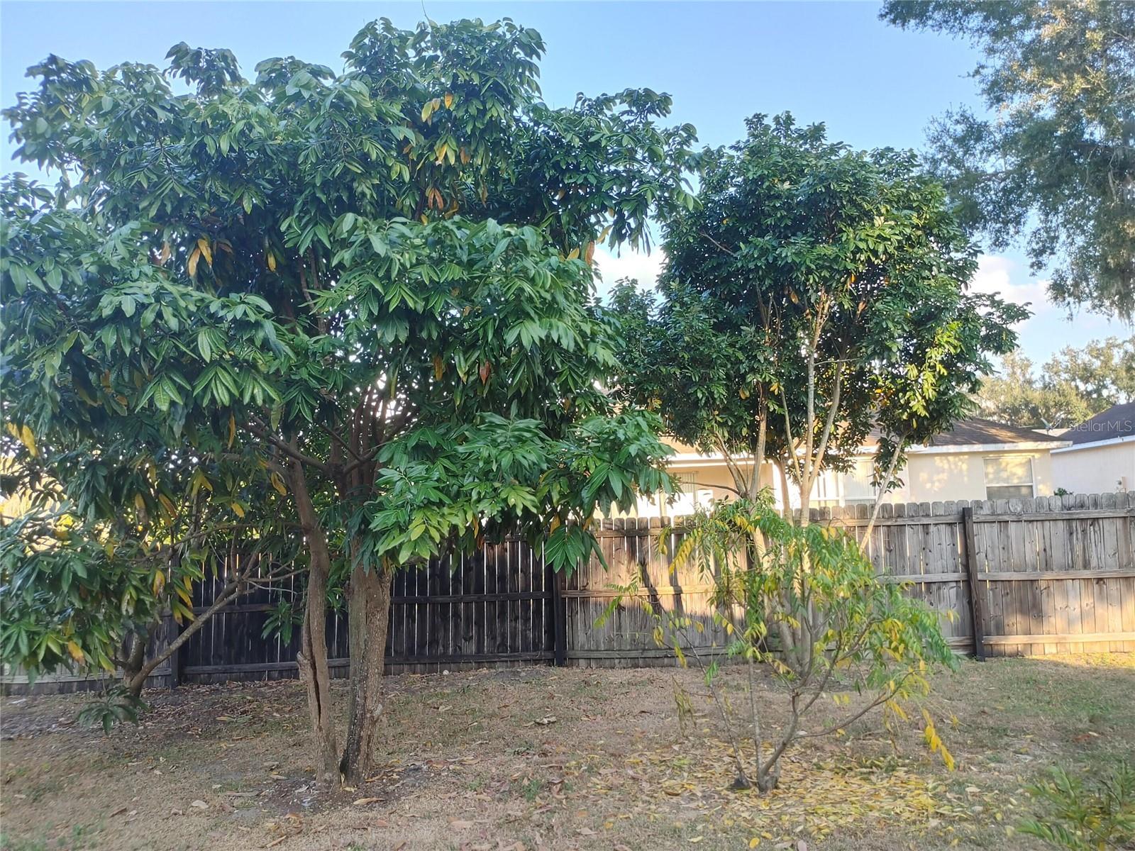 OXFORD MANOR - Residential