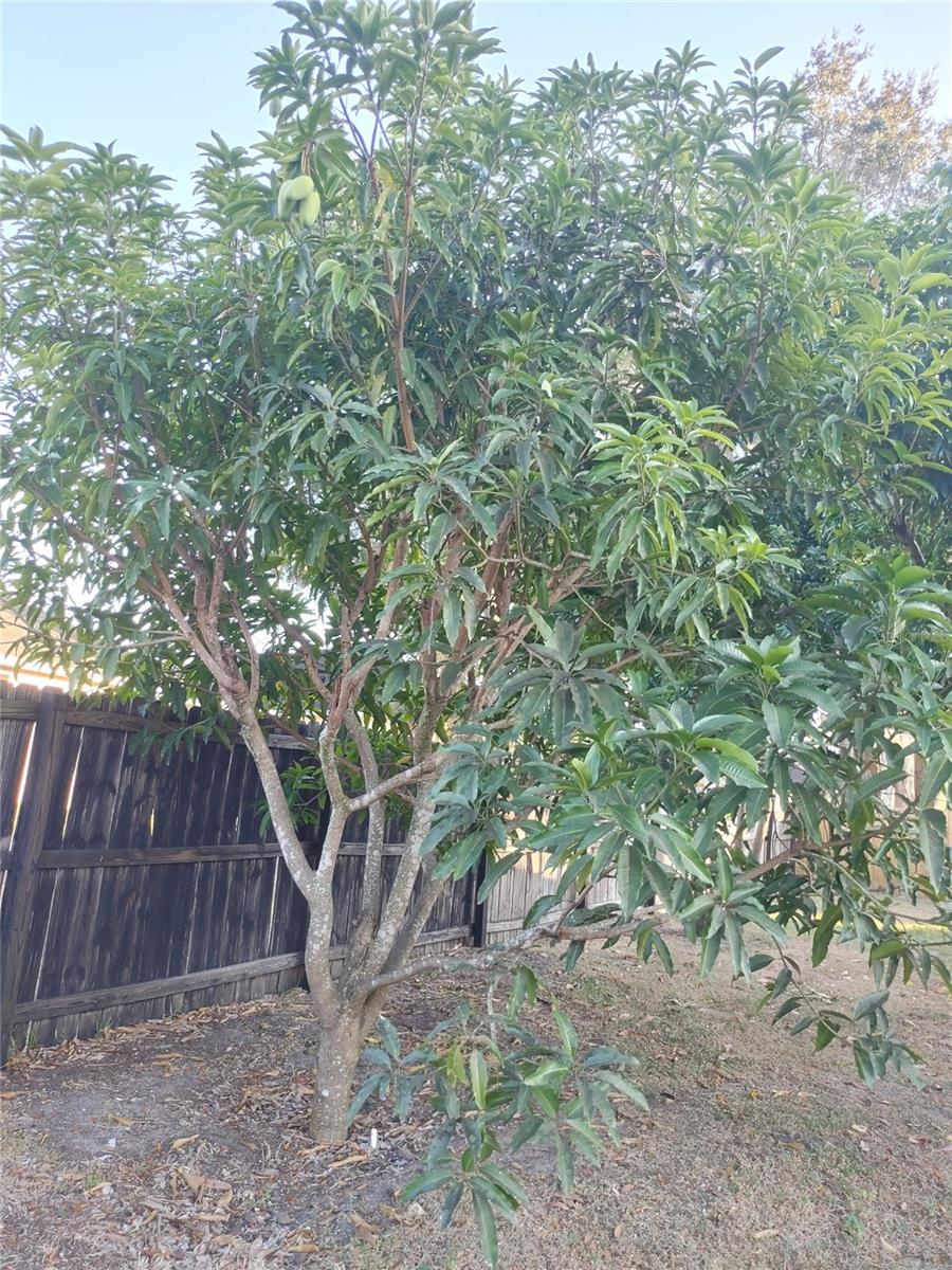 OXFORD MANOR - Residential