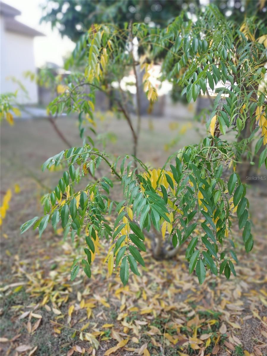 OXFORD MANOR - Residential