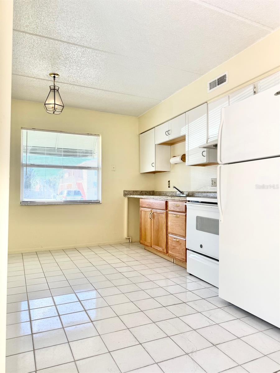 711 MICHIGAN COURT 1