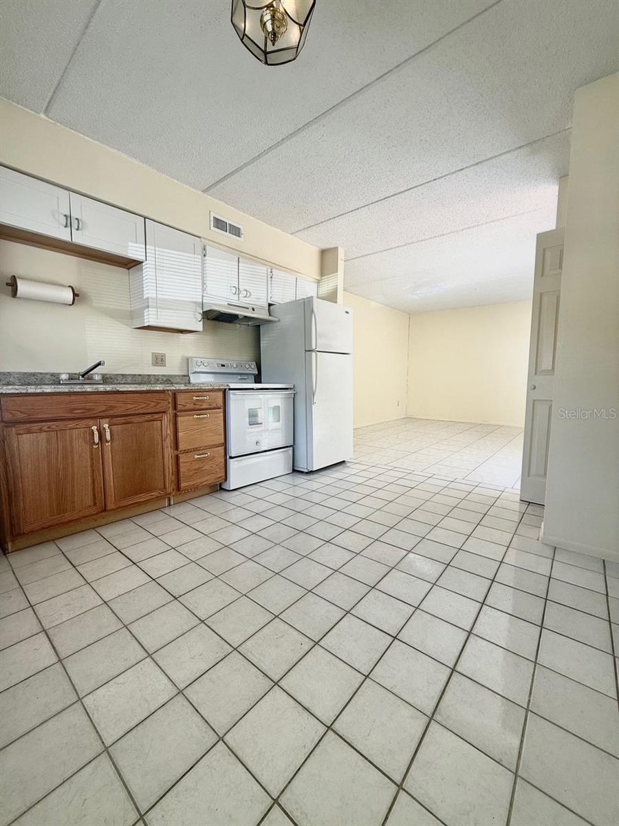 711 MICHIGAN COURT 1
