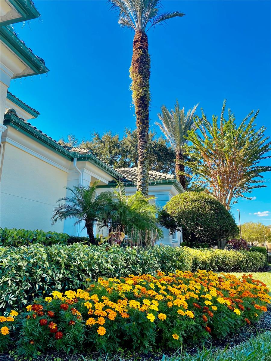 LEGACY DUNES CONDO - Residential