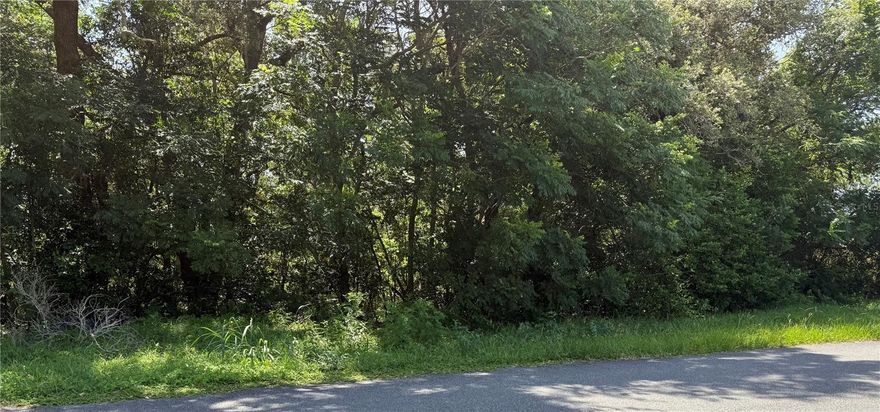 1+ Acre Homesite with Stunning Views! Don’t miss this rare opportunity to own a premier 1+ acre lot just minutes from The Villages, where entertainment, shopping, restaurants and more await. This unique, one-of-a-kind homesite offers breathtaking eastern exposure and panoramic views of rolling hills, mature trees, and Florida’s natural beauty. The elevated terrain is ideal for designing a custom-built home with living spaces that open to expansive views and morning sunrises. Whether you envision a two- or three-story dream home, this lot gives you the freedom to build without HOA fees or restrictions. Located on a quiet, paved road near a beautiful pay-to-play golf course, you can enjoy both serenity and recreation right at your doorstep. Start building your dream home today!