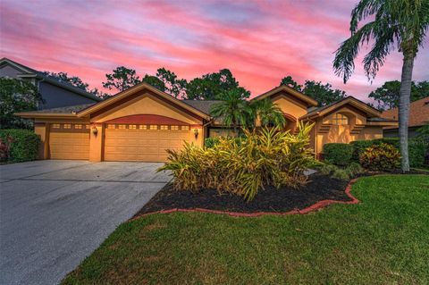 4133 AUSTON WAY PALM HARBOR FL 34685