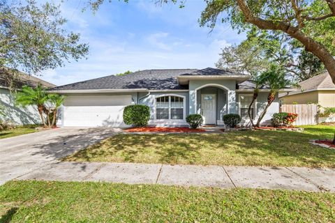 A home in RIVERVIEW