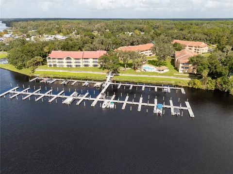 Photo of 99 Broad River Place #3205, Welaka, FL 32193 (MLS # FC313467)
