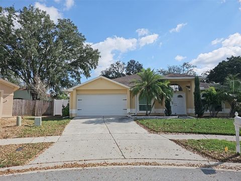 Single Family Residence in LAND O LAKES FL 24143 TWIN COURT.jpg