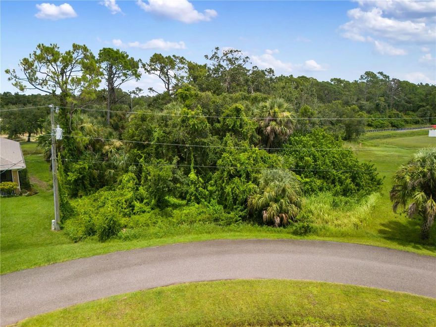 Check out this beautiful OVERSIZED lot in the heart of North Port, one of the fastest growing areas in Florida. This lot offers an easy access to top-rated schools, popular shopping centers and variety of different restaurants. There is also a brand new Sarasota Memorial Hospital being built just down the street. This lot is conveniently located near I-75 and US-41. This prime location offers both everyday convenience and strong future value, making it ideal for building your dream home or investing for growth. Don't miss this opportunity to own this beautiful piece of paradise. It won't last long.