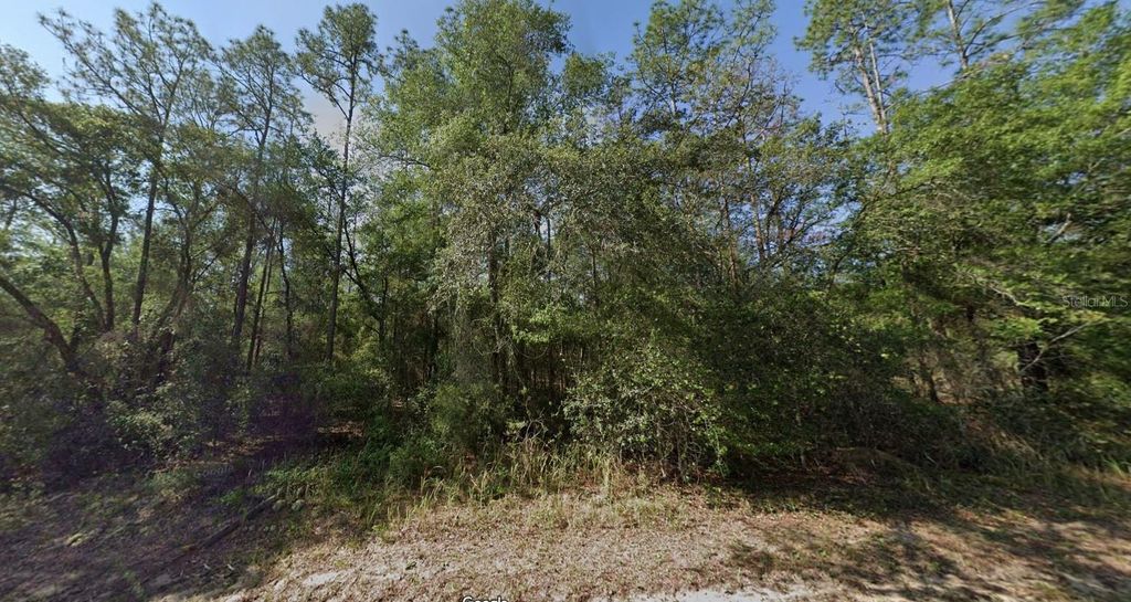 Photo of 652 E Kingsdale Street, Dunnellon, FL 34434 (MLS # O6320327)
