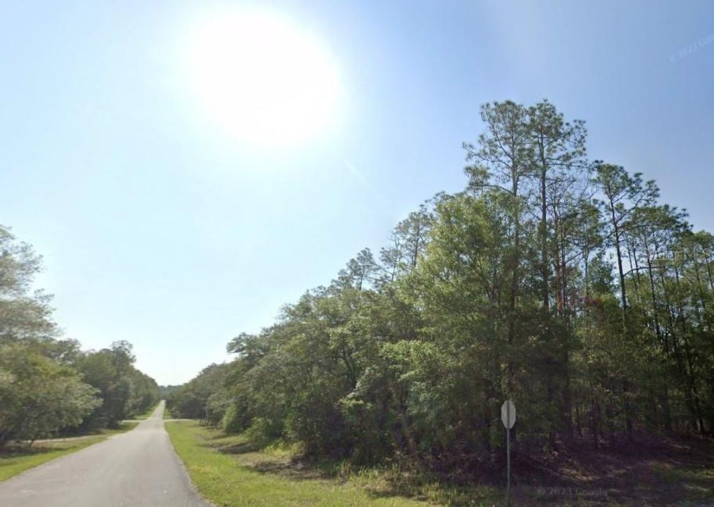 Photo of 652 E Kingsdale Street, Dunnellon, FL 34434 (MLS # O6320327)