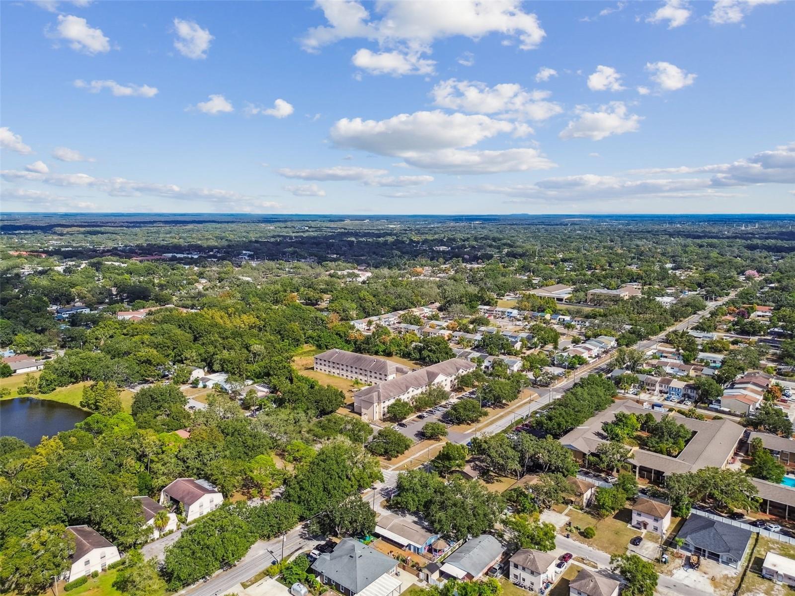 TEMPLE TERRACES - Commercial Sale