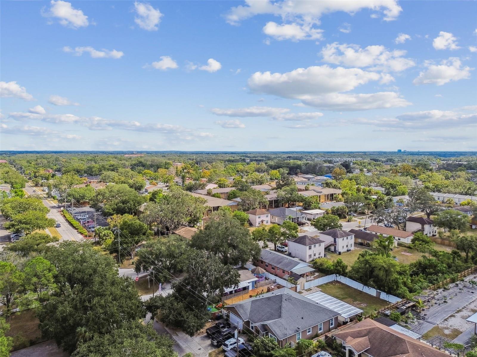 TEMPLE TERRACES - Commercial Sale