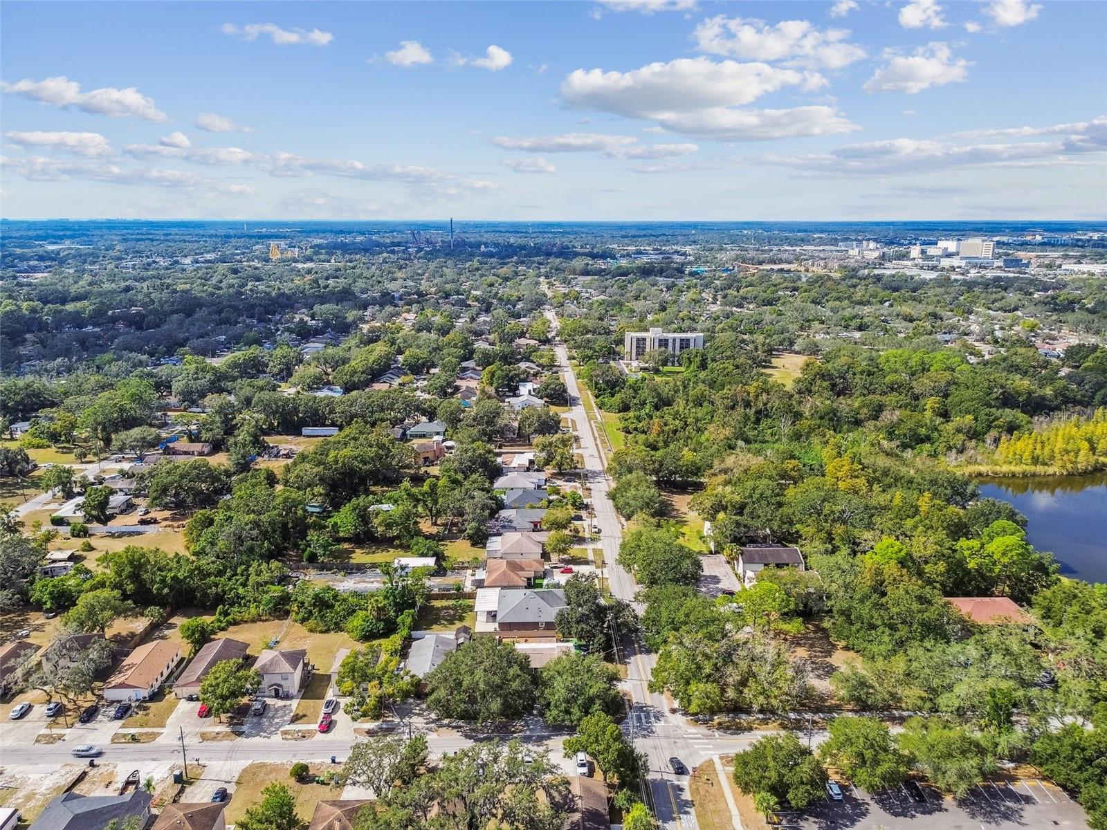 TEMPLE TERRACES - Commercial Sale