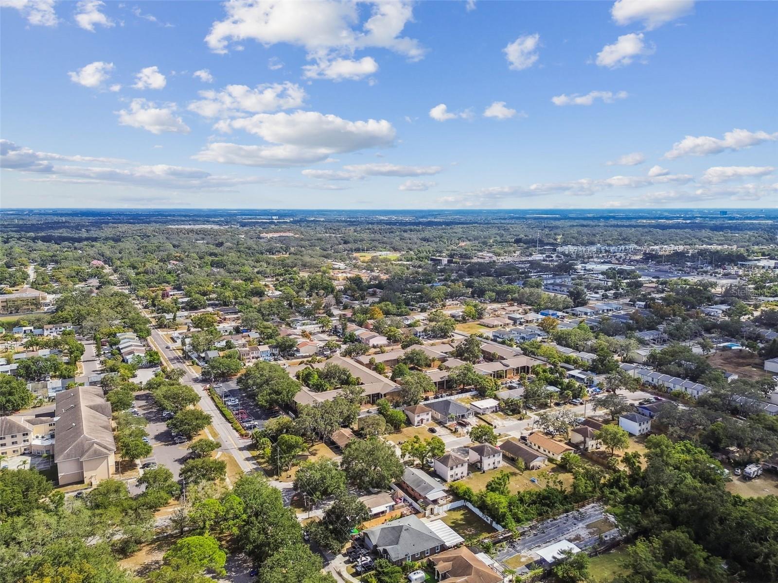 TEMPLE TERRACES - Commercial Sale