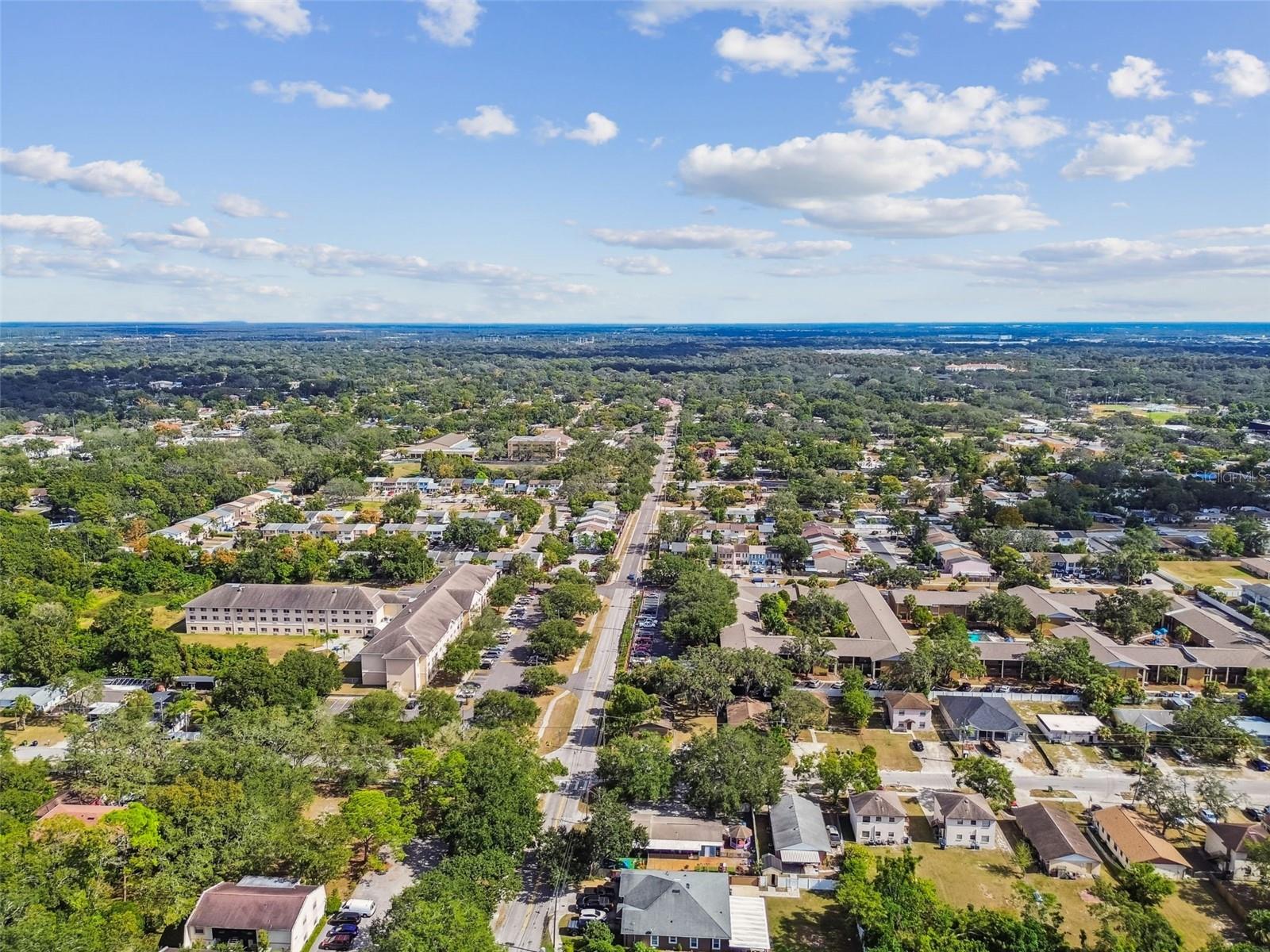 TEMPLE TERRACES - Commercial Sale