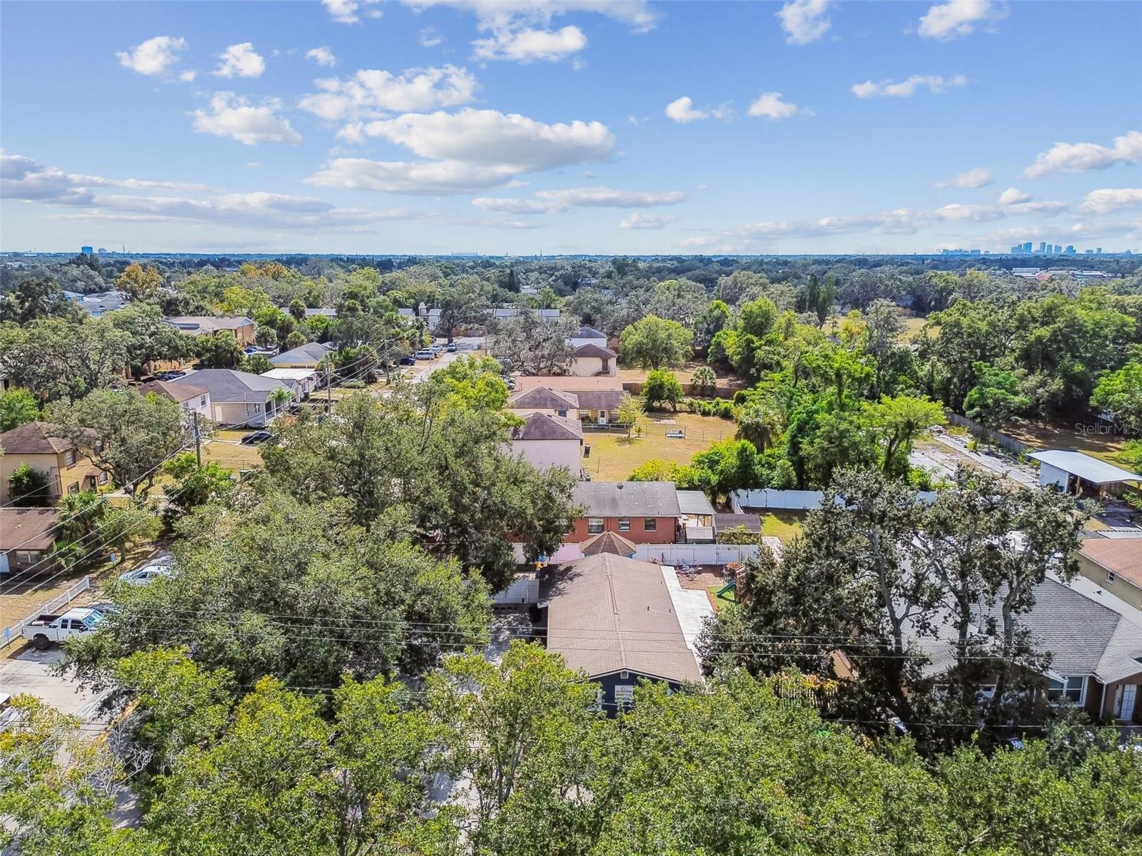 TEMPLE TERRACES - Commercial Sale