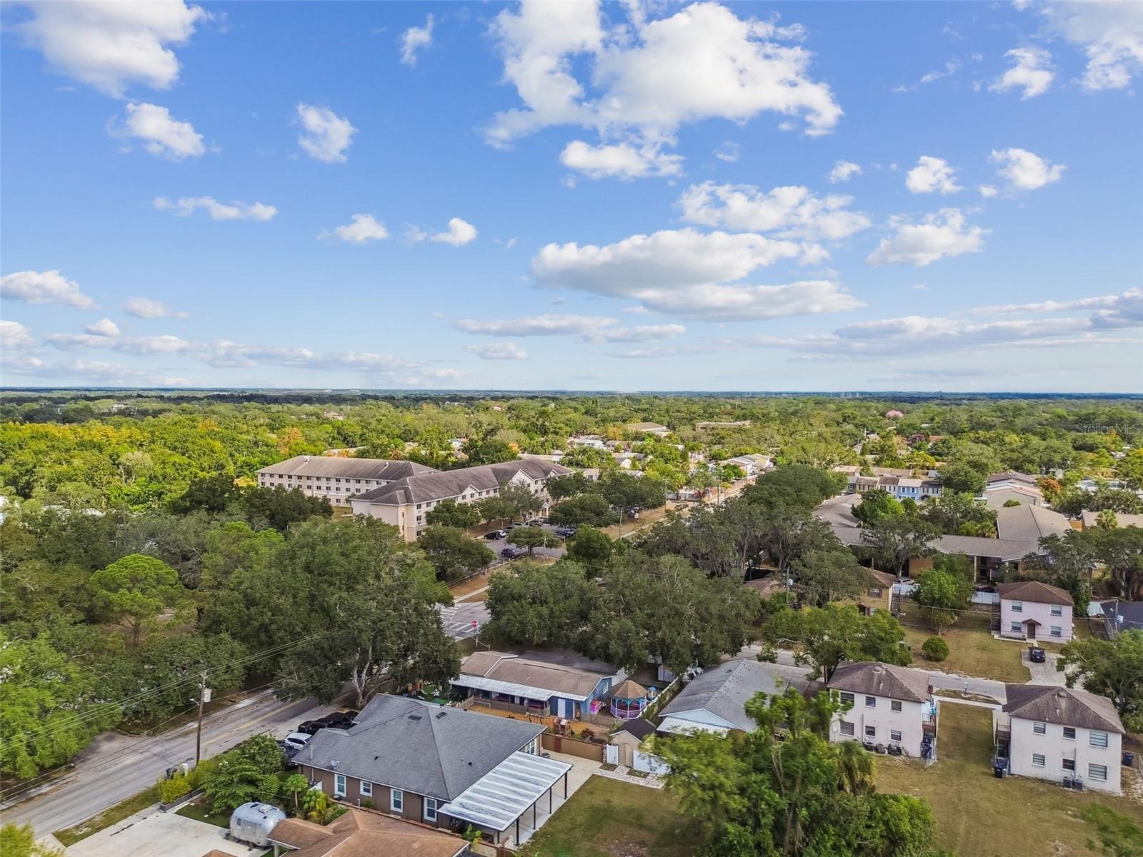 TEMPLE TERRACES - Commercial Sale