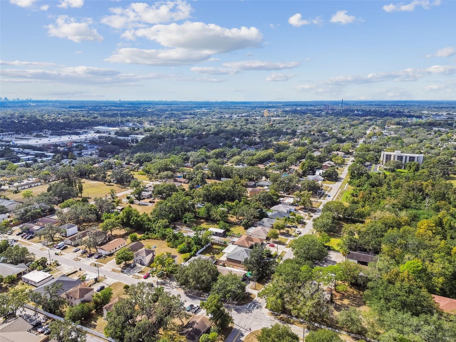 TEMPLE TERRACES - Commercial Sale