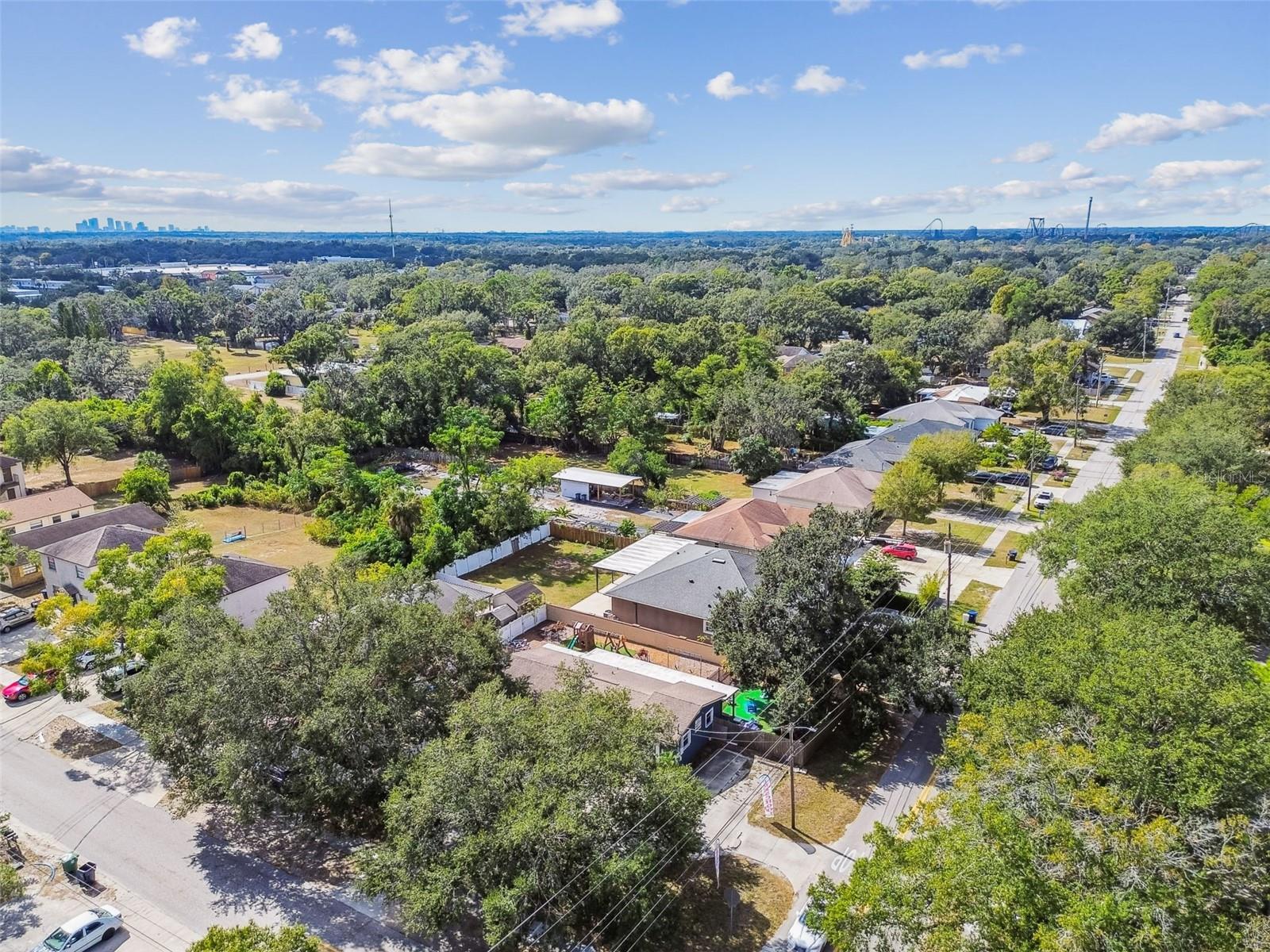 TEMPLE TERRACES - Commercial Sale