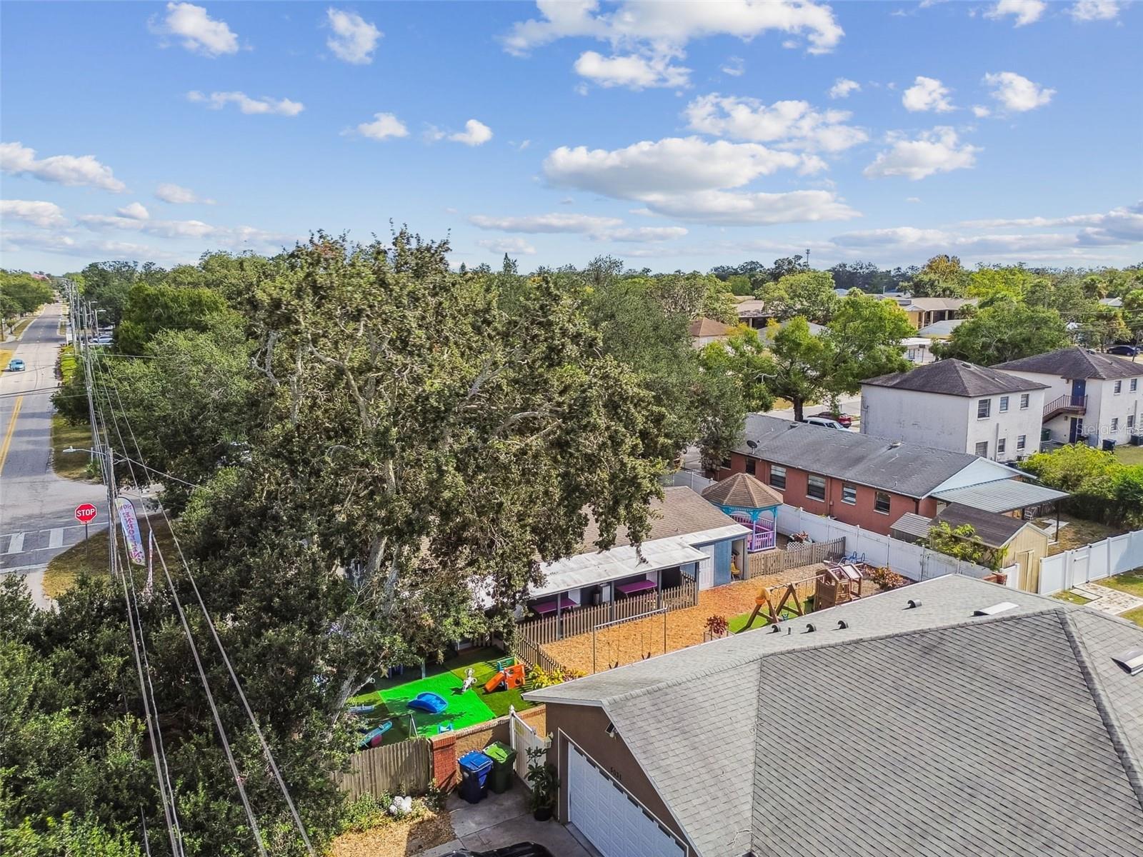 TEMPLE TERRACES - Commercial Sale