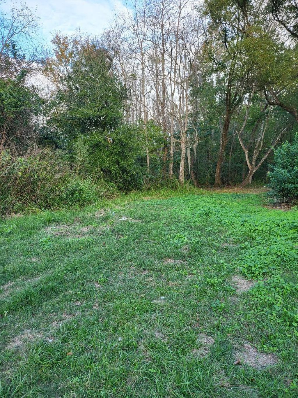 Photo of 2220 Ellie Road #B, Auburndale, FL 33823 (MLS # P4937352)