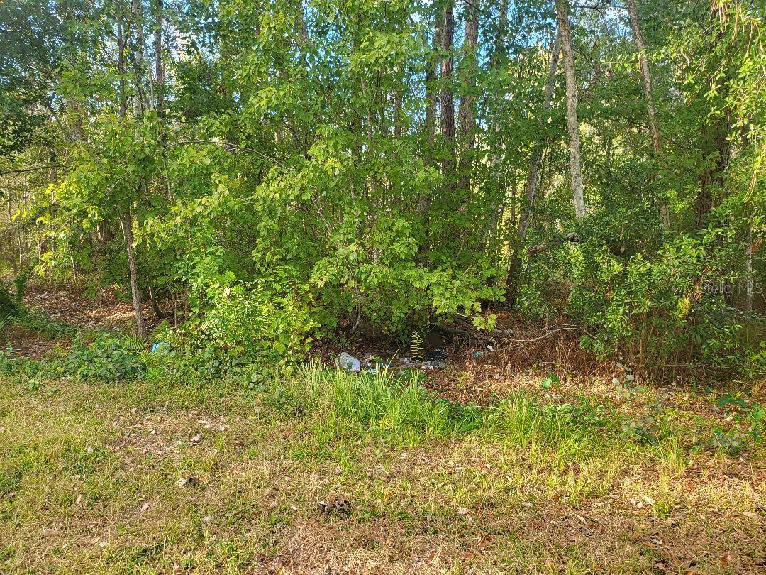 NOT IN SUBDIVISION - Residential