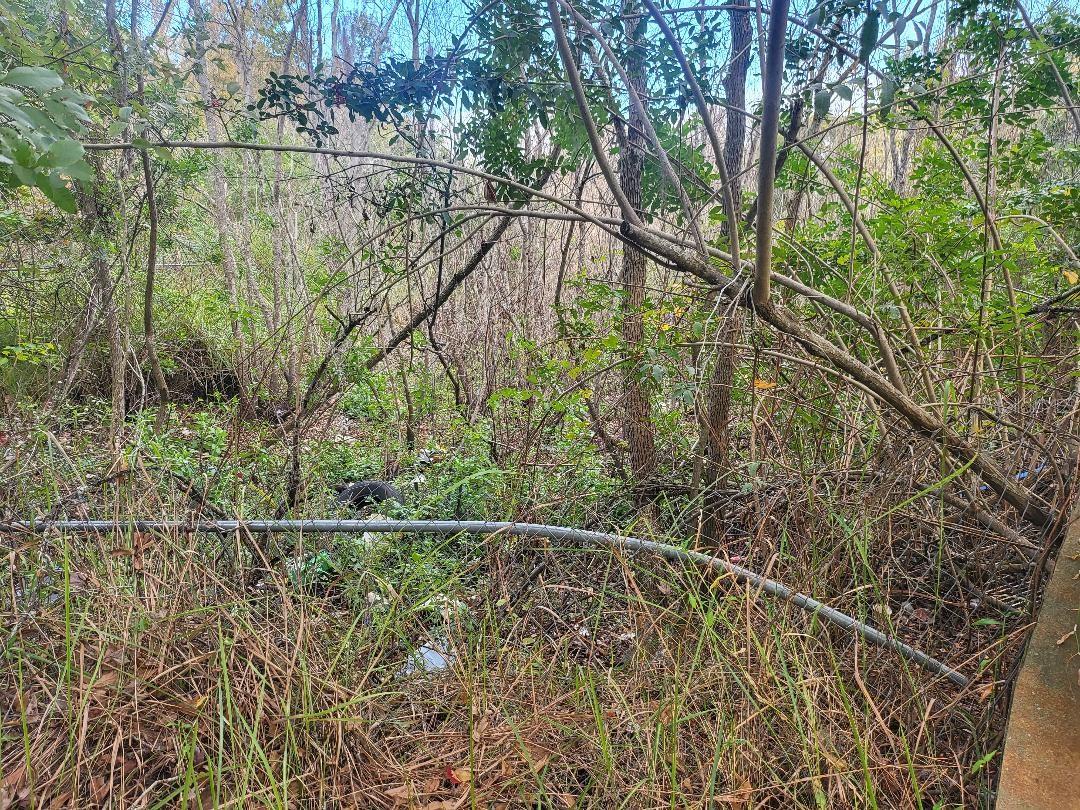 NOT IN SUBDIVISION - Residential