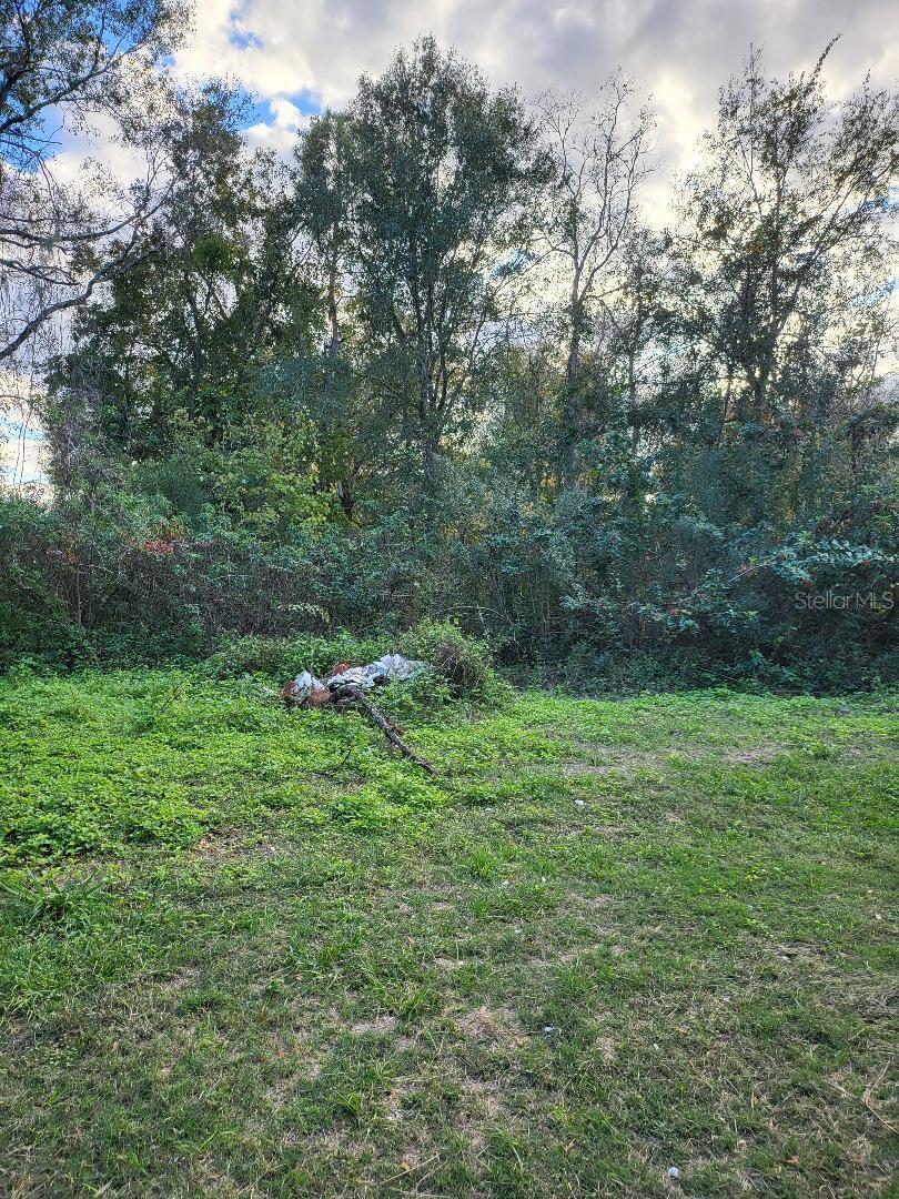 NOT IN SUBDIVISION - Residential