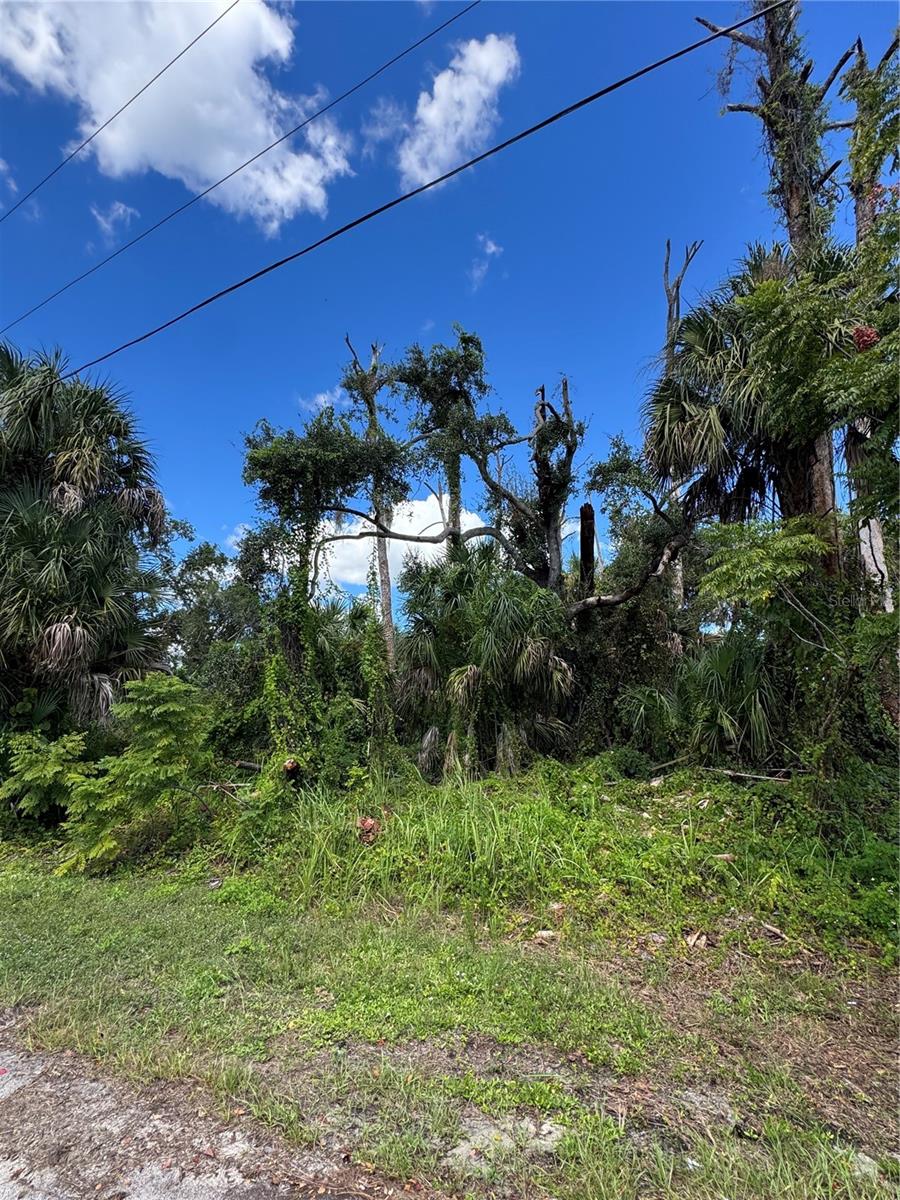 ZAMITA AVENUE, NORTH PORT, FL, 34287 4 ZAMITA AVENUE