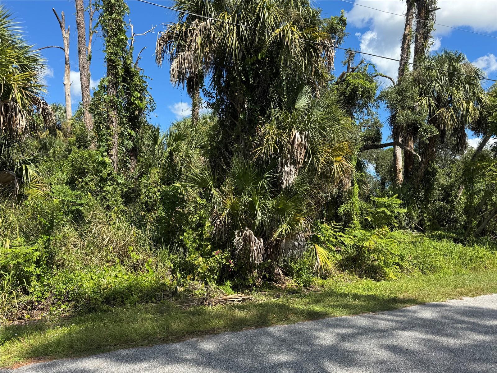 ZAMITA AVENUE, NORTH PORT, FL, 34287 1 ZAMITA AVENUE