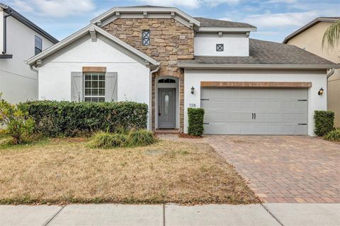 1138 FOUNTAIN COIN LOOP ORLANDO FL 32828
