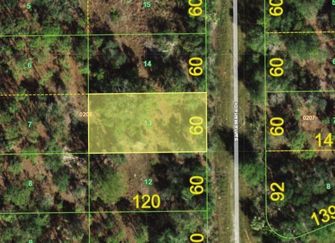 13179 SANTA MARIA DRIVE PUNTA GORDA FL 33955