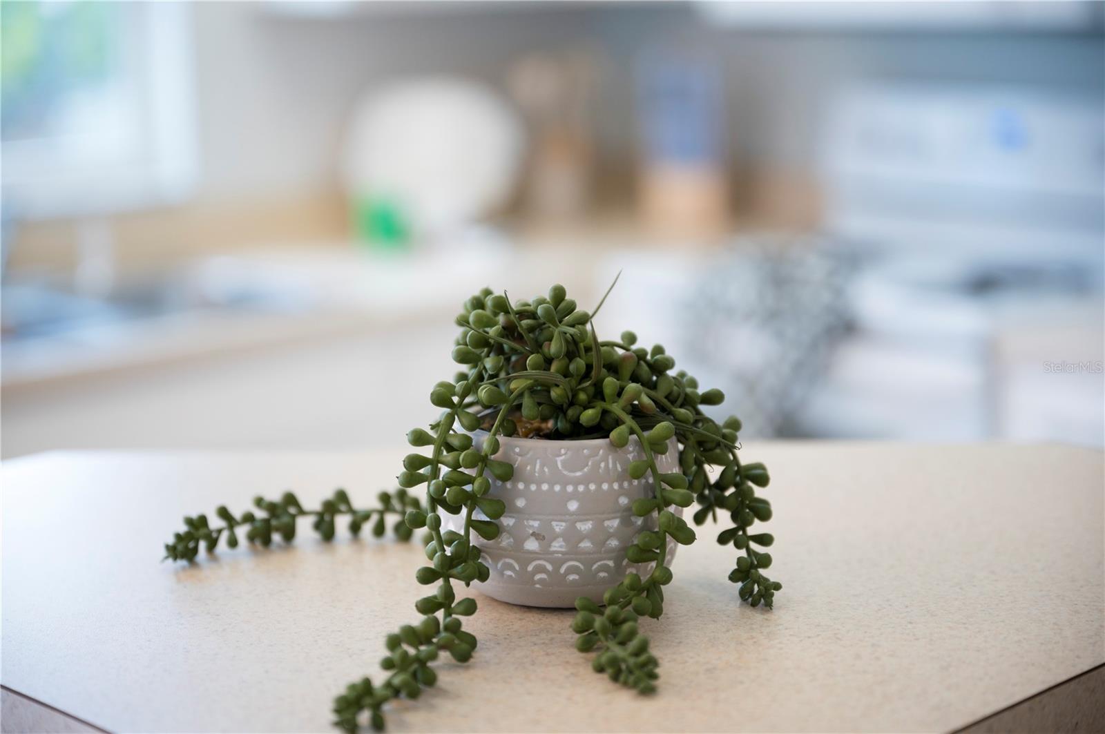 KOKOMO BAY PH 01 - Residential Lease