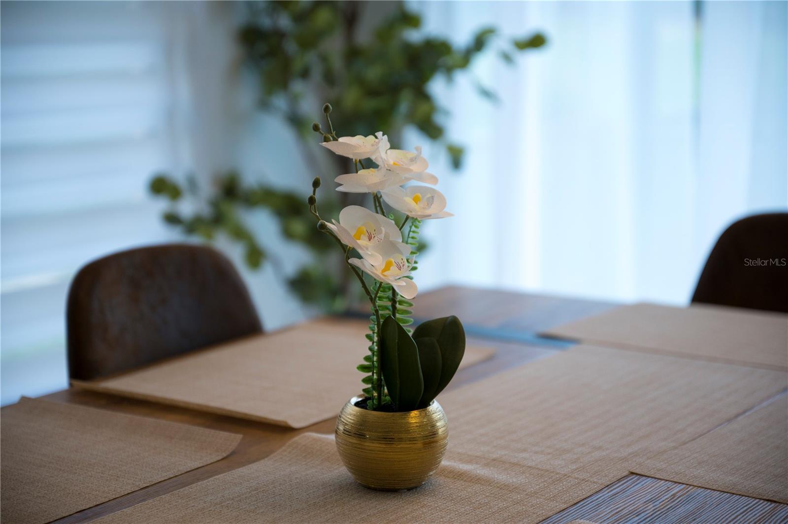 KOKOMO BAY PH 01 - Residential Lease