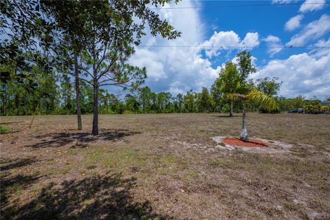 A home in PUNTA GORDA