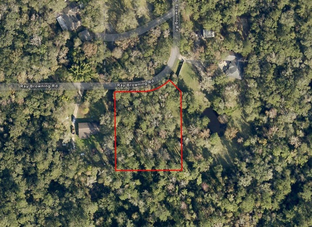 Photo of 0 Ray Browning Road, Brooksville, FL 34601 (MLS # W7879773)