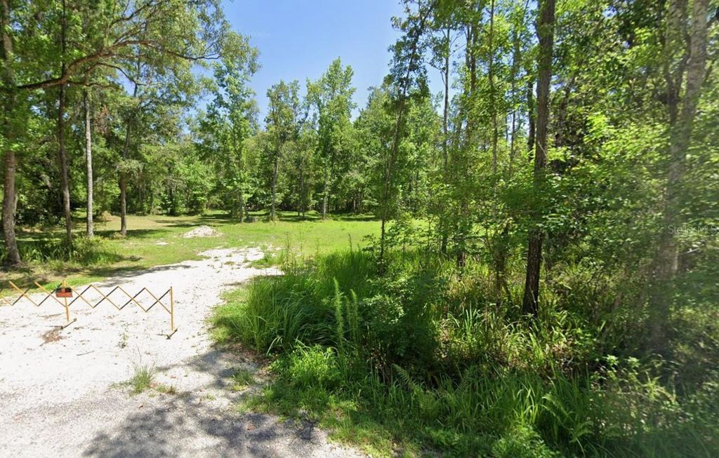 Photo of 0 Ray Browning Road, Brooksville, FL 34601 (MLS # W7879773)