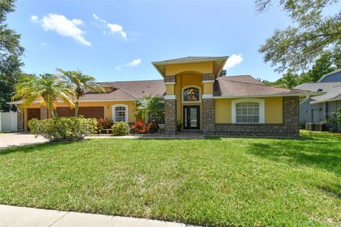 A home in TAMPA